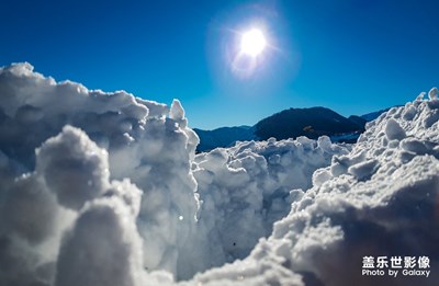 踏雪西风烈