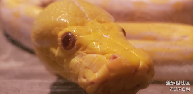 一篇有内容的动物园回顾贴