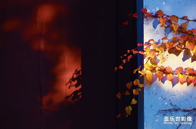 【为中国添色】光阴的故事（专业组）