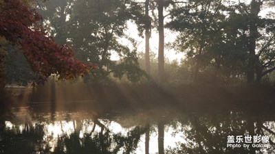 【为中国添色】-天平胜景，层林尽染之红枫