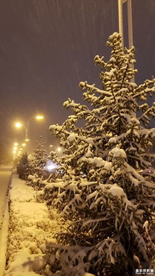 风雪之夜