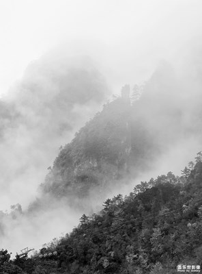 雾里的山林风景