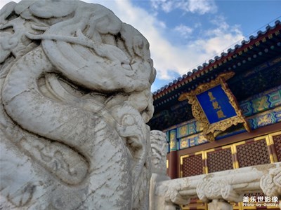 找寻帝王龙