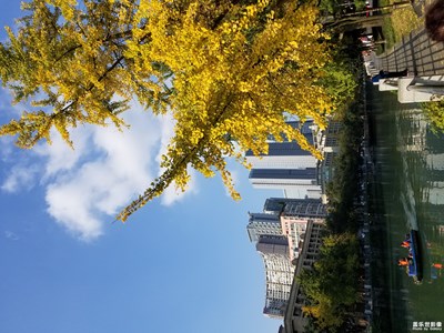 【百变天气】+冷空气带走雾霾带来蓝天