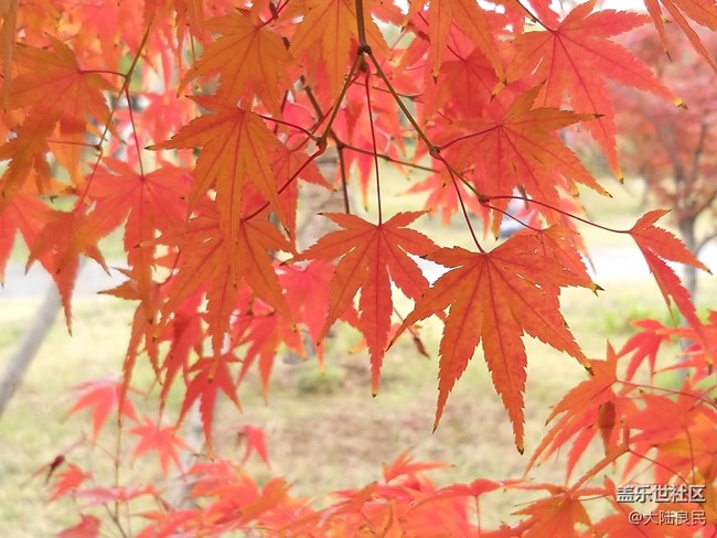 【A9s 一机走天下】郑州站 龙门石窟实拍体验