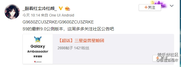 这么多微博博主爆料 该信谁?