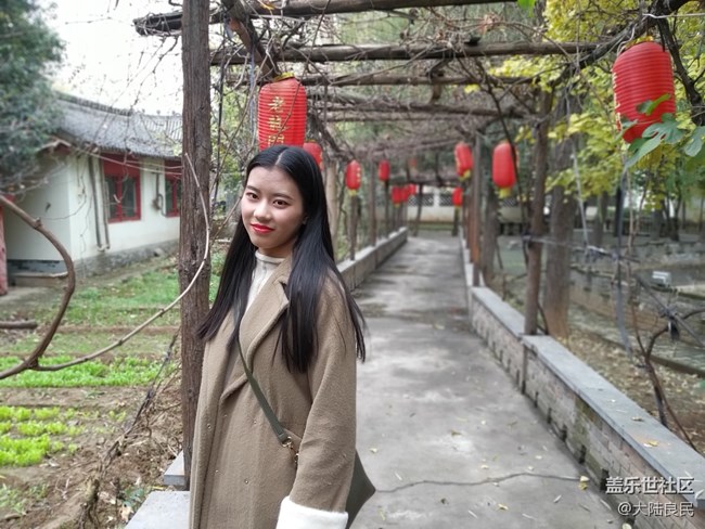 【A9s 一机走天下】郑州站 龙门石窟实拍体验