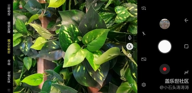 这么拍更好看 Galaxy A9s场景优化器了解一下