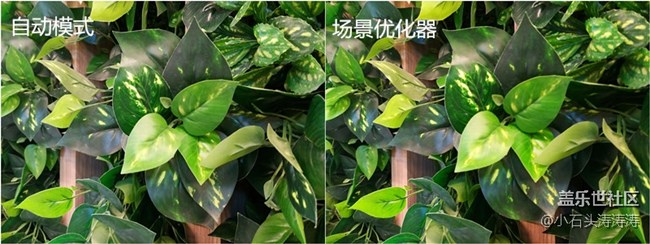 这么拍更好看 Galaxy A9s场景优化器了解一下