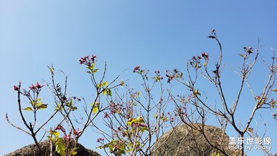 周末登山之随手拍