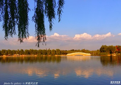 【黄昏之约】