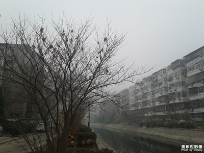 雾漫漫