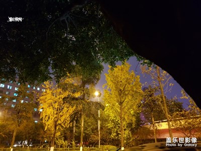 夜慢慢的步入