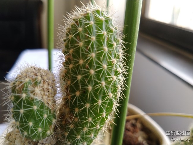 【A6s星粉体验团】掌中惊艳,性价比极高的智能手机 【A6s星粉体验团】掌中惊艳,性价比极高的智能手机