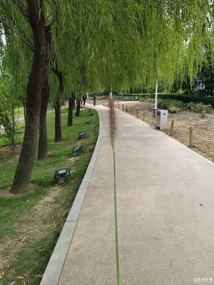 郑州绿博园