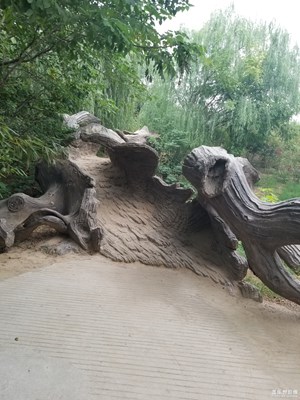 开封铁塔公园