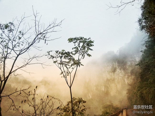 适用范围最广四摄 三星A9s 拍照体验分享