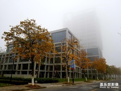 【纬度的色彩】+浓雾中的上海清晨