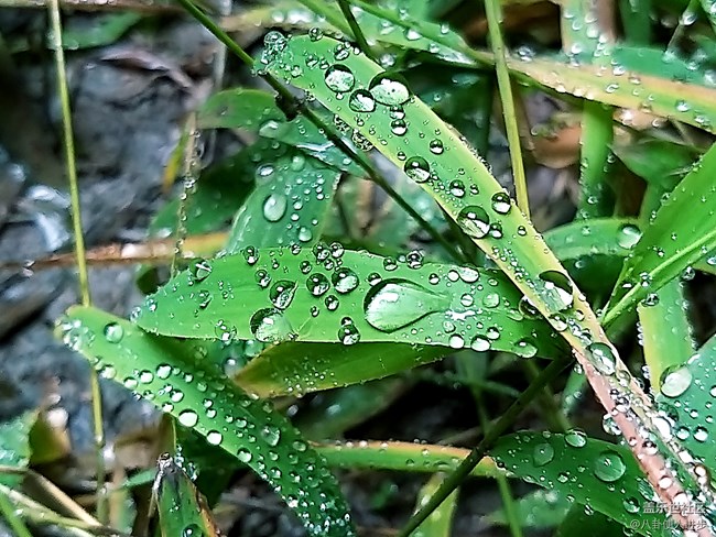 一机走天下 重庆武隆人间仙境大自然的馈赠