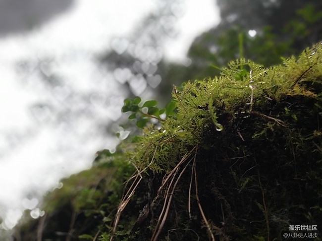 一机走天下 重庆武隆人间仙境大自然的馈赠