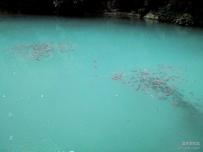 一机走天下 重庆武隆人间仙境大自然的馈赠