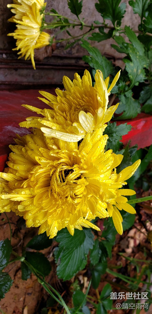 note9的拍照效果怎么样，这里可以提现