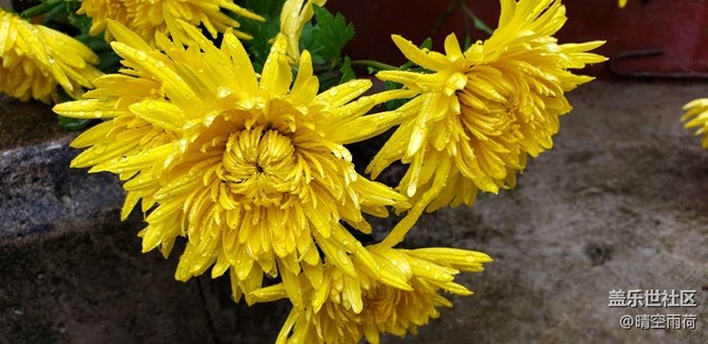 note9的拍照效果怎么样，这里可以提现