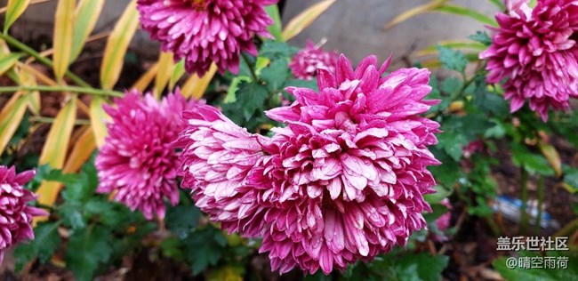 note9的拍照效果怎么样，这里可以提现