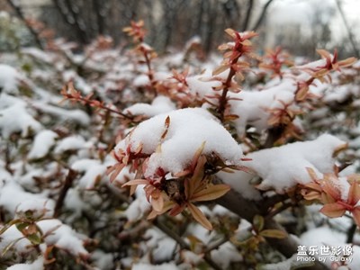 西安今冬初雪