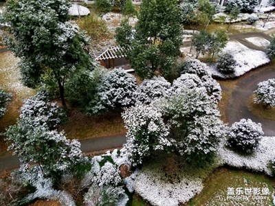 【纬度的色彩】+上海初雪