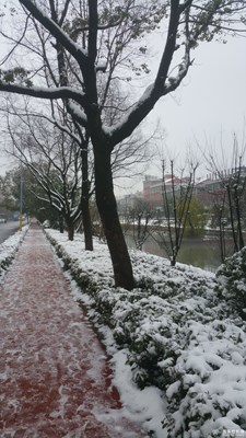 店口的雪