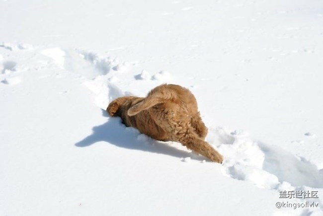 “ 南方人 ” 第一次见雪。。。