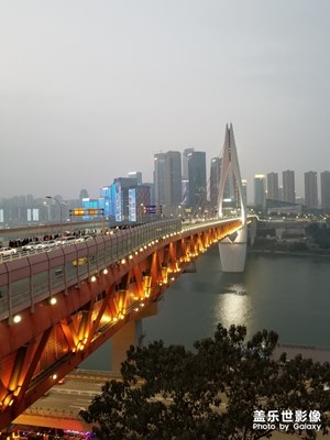 勒是雾都  贰
