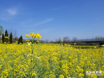 【回首2018】+用三星记录身旁的美景