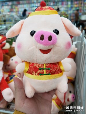 小s9之圣诞快乐！