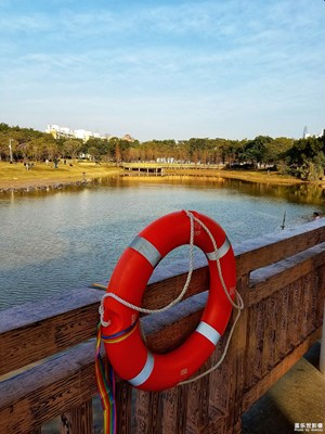 【回首2018】+奔波的一年