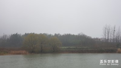 冬至-落雨纷纷