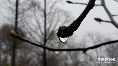 雨珠里的世界