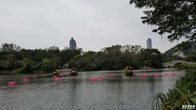 东湖公园花展