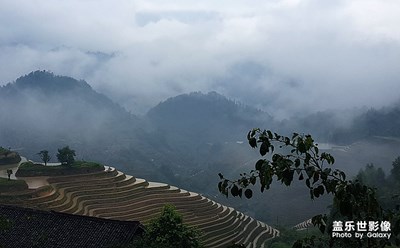 龙脊梯田印象