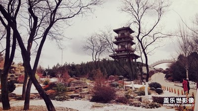 雪后植物园