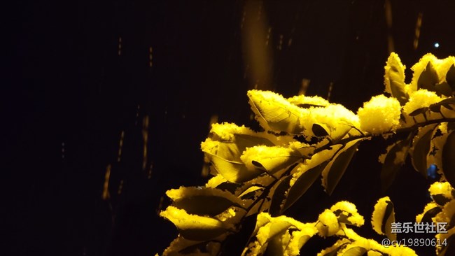 元旦第一贴，说说9.0