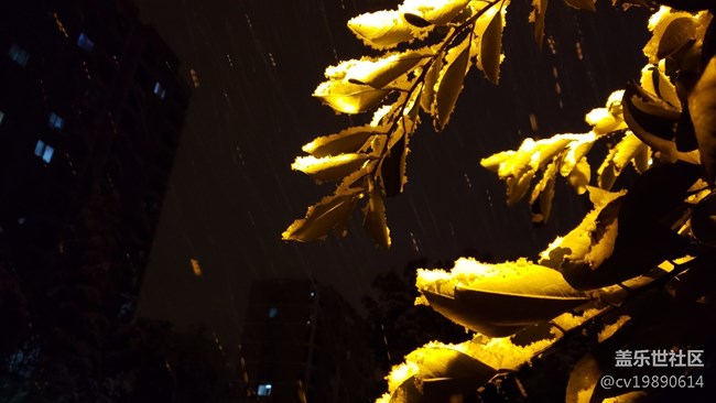 元旦第一贴，说说9.0