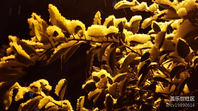 元旦第一贴，说说9.0