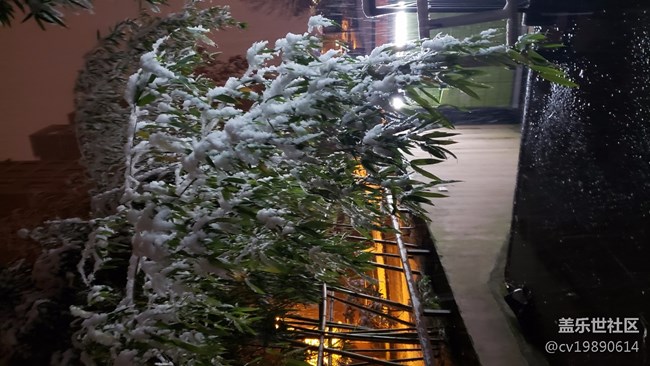 元旦第一贴，说说9.0