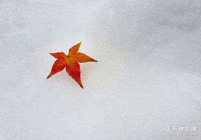 【2019嗨翻新年】+新年瑞雪