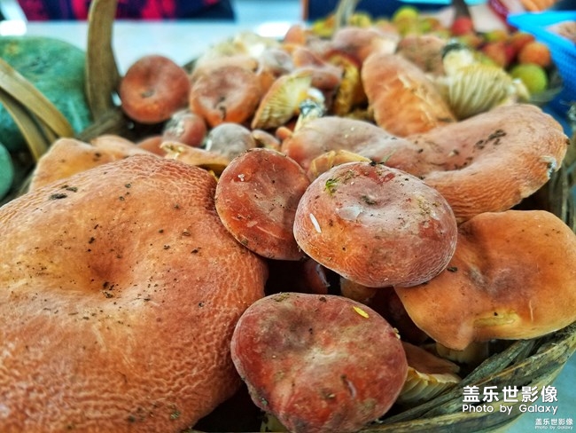 第70期--手机里的美食开奖了