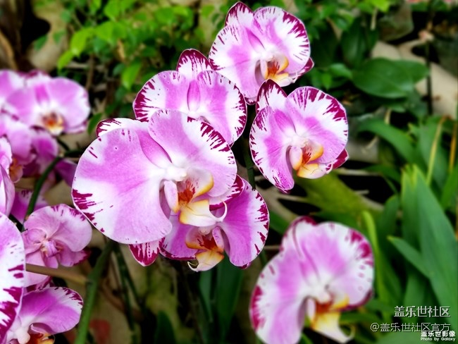 每周精帖汇【130期：2019年要完成目标有哪些呢？】