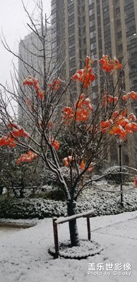 2019年第一场雪