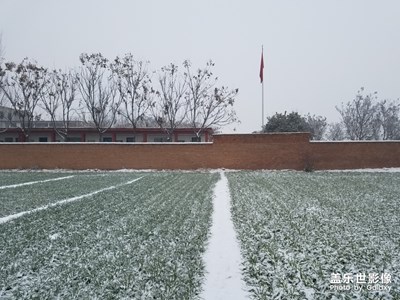 【开门红】+红砖墙、白雪、小麦苗
